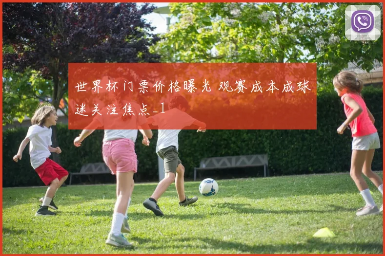世界杯门票价格曝光 观赛成本成球迷关注焦点_1