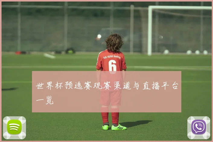 世界杯预选赛观赛渠道与直播平台一览