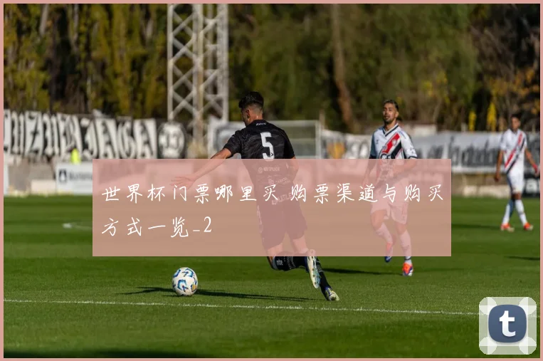 世界杯门票哪里买 购票渠道与购买方式一览_2
