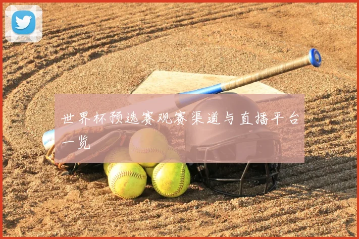 世界杯预选赛观赛渠道与直播平台一览