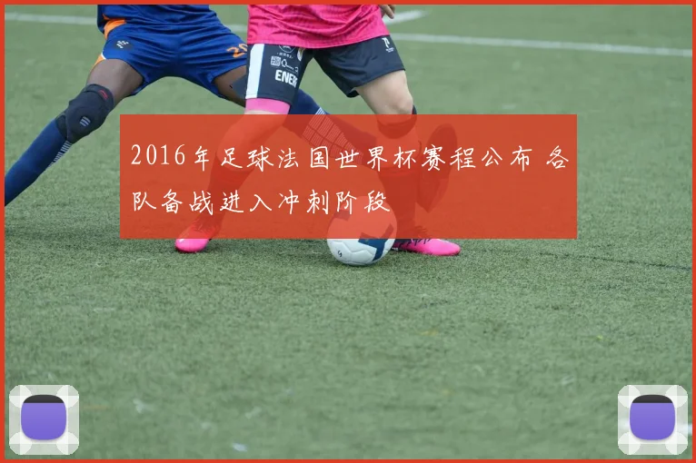 2016年足球法国世界杯赛程公布 各队备战进入冲刺阶段